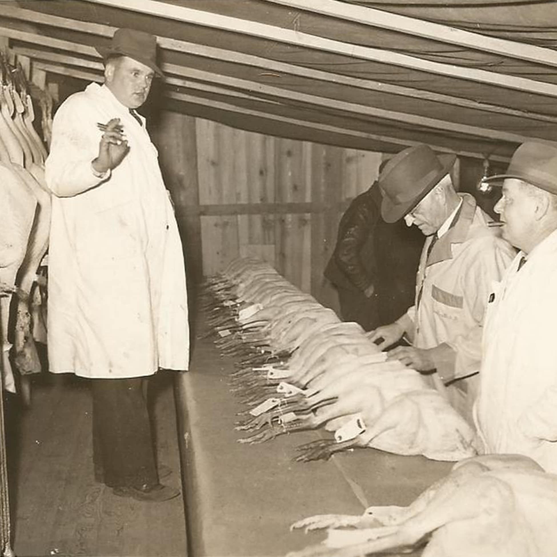 Uncle Lloyd on the Peterson Turkey Farm