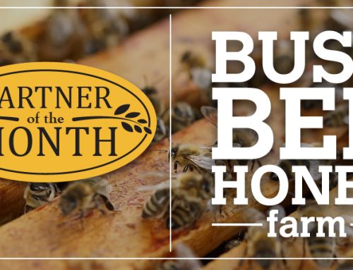 PARTNER OF THE MONTH: Busy Bee Honey