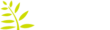 Ferndale Market Logo