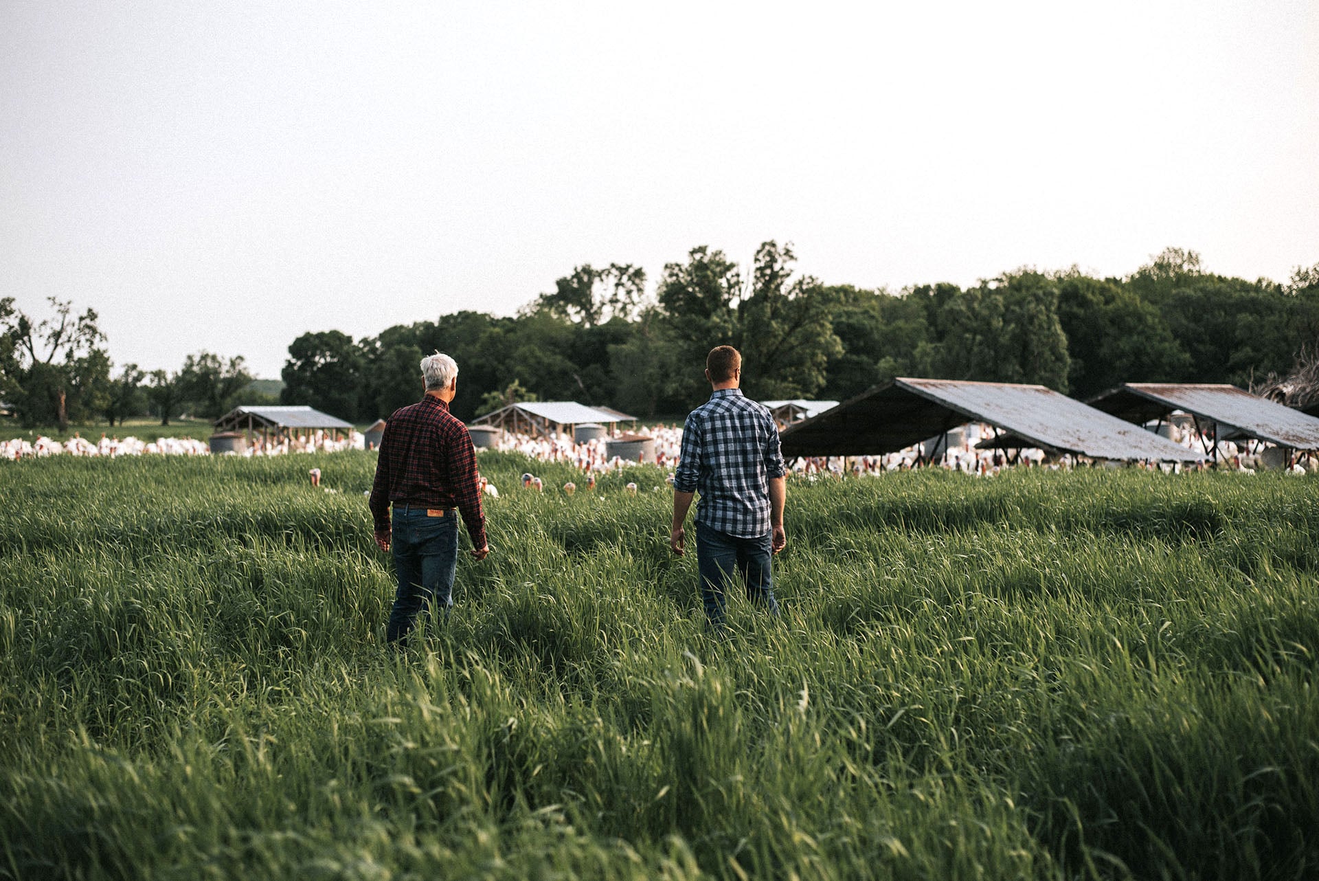 Dick and John on the Peterson Turkey Farm