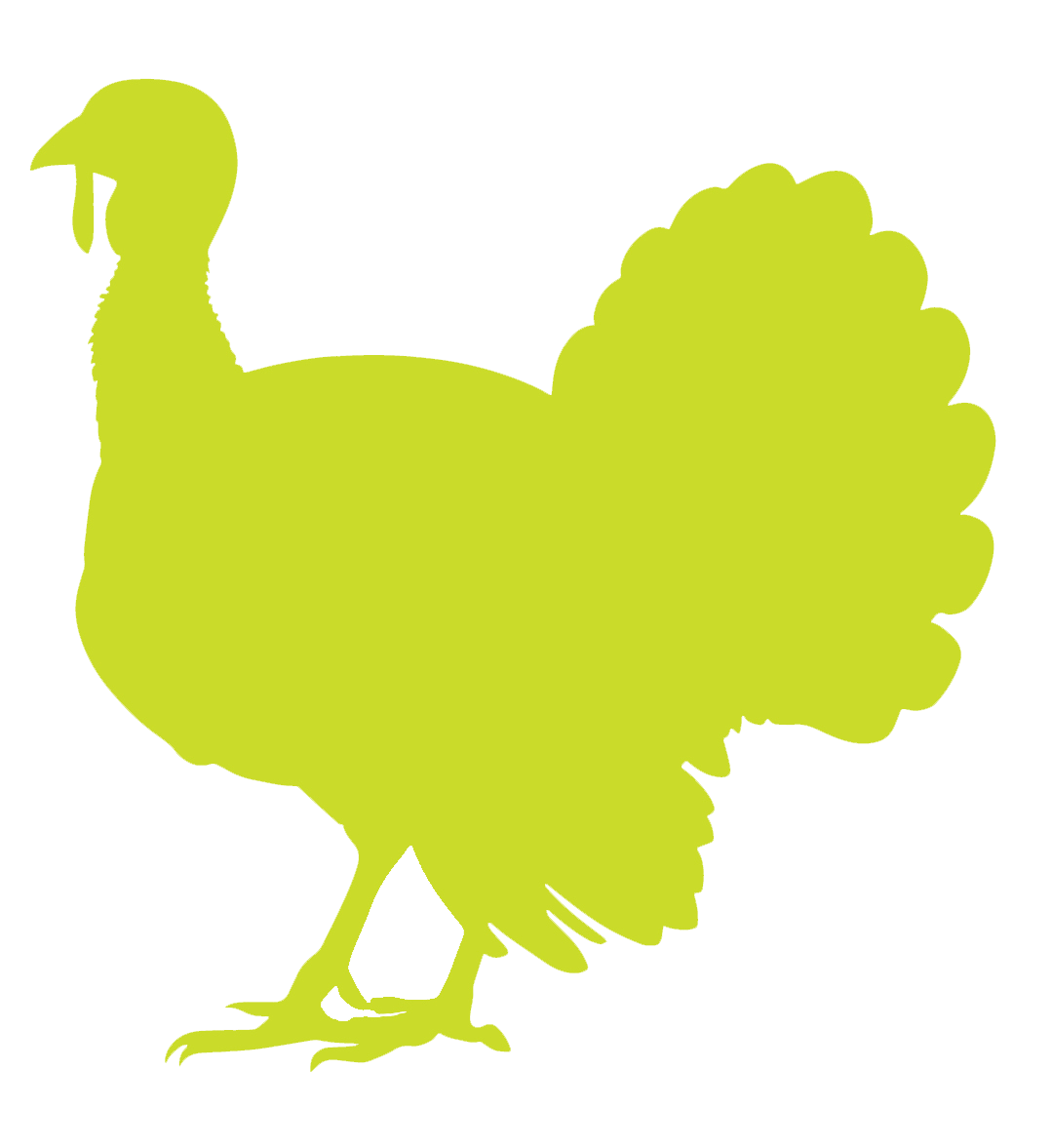Turkey Fest turkey icon